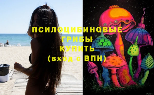 мдпв Майский