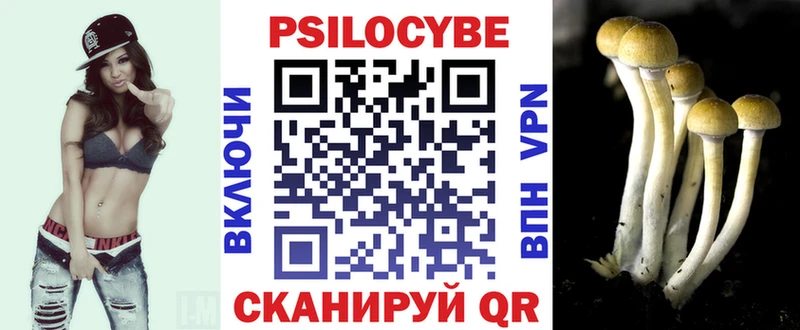 Псилоцибиновые грибы GOLDEN TEACHER  Купить закладки  Балтийск 